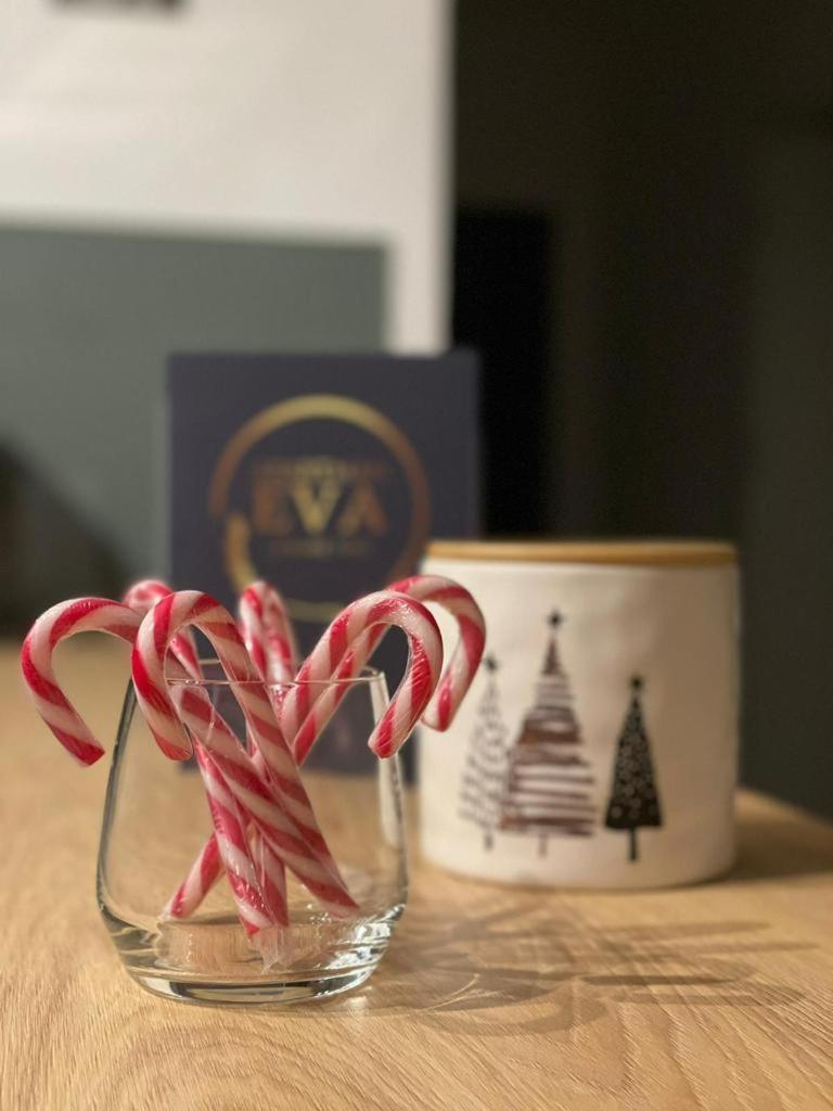 Apartman Eva, Moderan Stan U Srcu Zagorja คาปรินา ภายนอก รูปภาพ